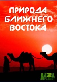 Постер «Animal Planet: Природа Ближнего Востока»