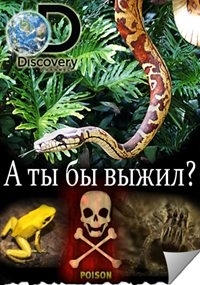 Постер «А ты бы выжил?»