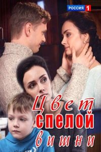 Постер «Цвет спелой вишни»