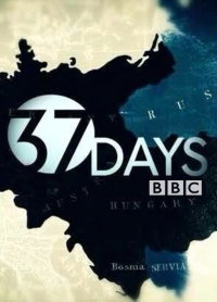 Постер «37 дней»