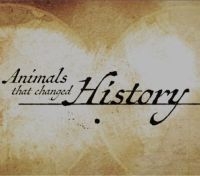 Постер «Животные, которые изменили историю»