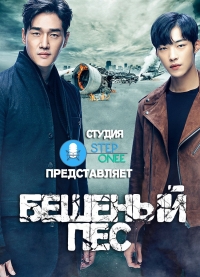 Постер «Бешеный пес»