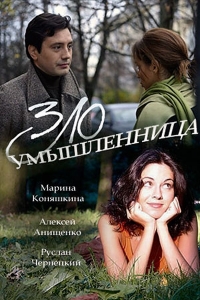Постер «Злоумышленница»