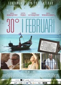 Постер «30 градусов в феврале»