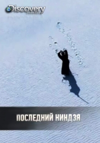 Постер «Последний ниндзя»
