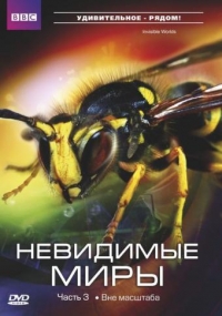Постер «Невидимые миры ВВС»