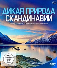Постер «Дикая природа Скандинавии»
