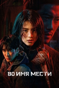 Постер «Во имя мести»