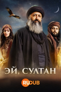 Постер «Эй, Султан»