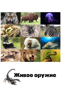 Постер «Живое оружие»