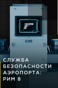 Постер «Служба безопасности аэропорта»