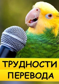 Постер «Трудности перевода»