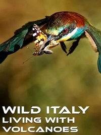 Постер «Дикая Италия: вместе с вулканами»