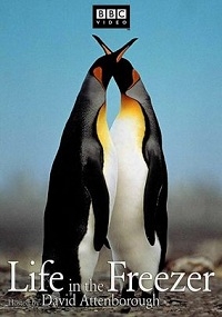 Постер «Жизнь в морозильнике»