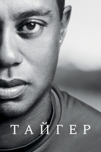 Постер «Тайгер»