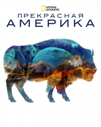 Постер «Прекрасная Америка»