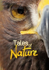 Постер «Наблюдая за природой»