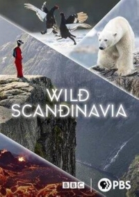 Постер «Дикая природа Скандинавии (2023)»