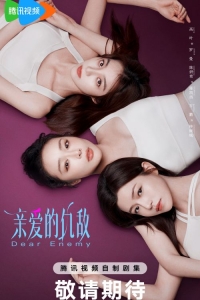 Постер «Дорогой враг (Китай)»