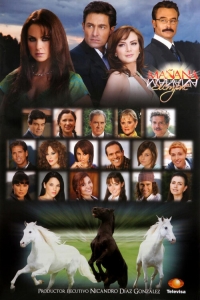 Постер «Завтра – это навсегда»