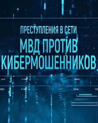 Постер «Преступления в сети: МВД против кибермошенников»