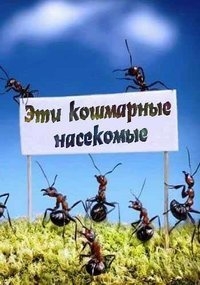Постер «Эти кошмарные насекомые»