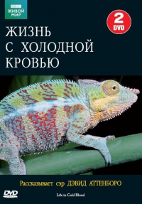 Постер «BBC: Жизнь с холодной кровью»